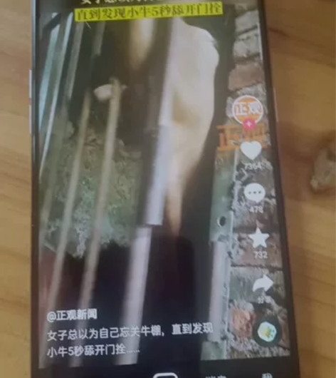 二手手机OPPOReno2z，全面屏升降式...