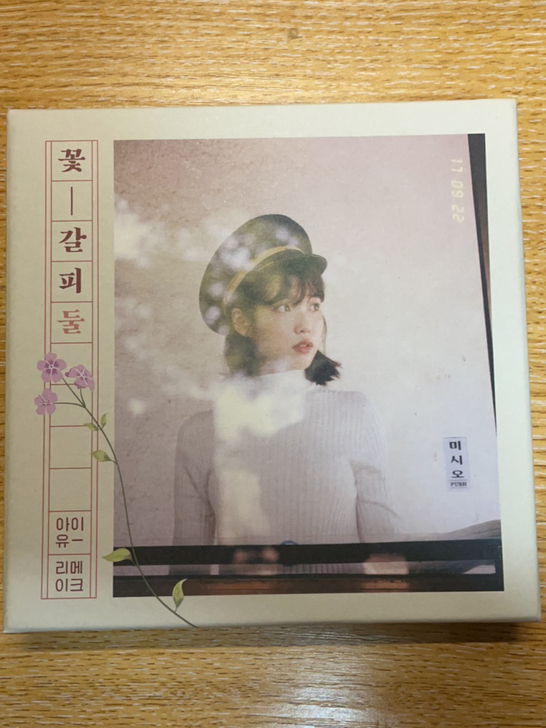iu花书签 翻唱专