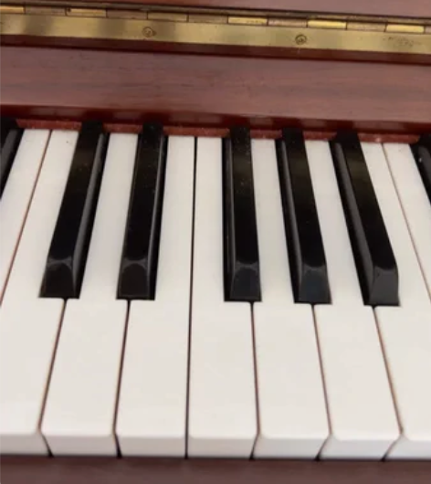 家庭闲置，18年年底娃学钢琴买的，后来没坚...