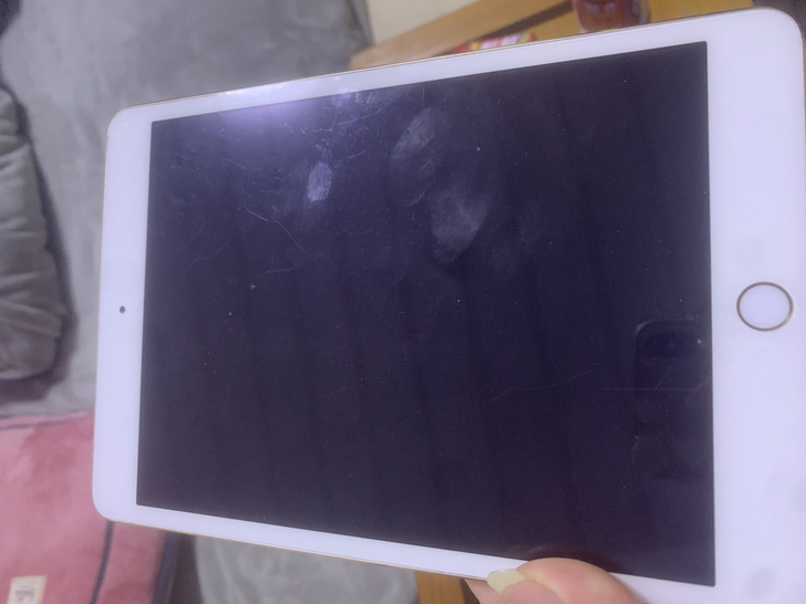 名称： iPad mini