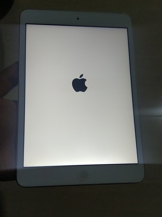 iPad mini 2