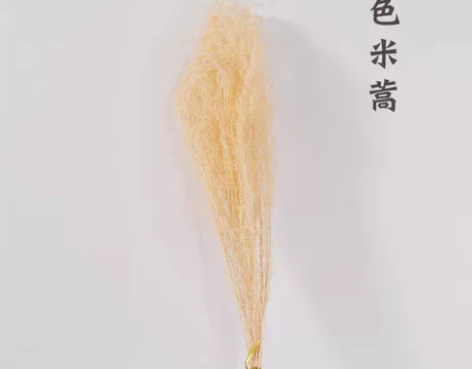 风干花真花花束客厅装饰摆件插花点缀摆拍网红...