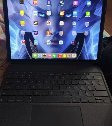 ipad pro2021款，12.9寸，2...