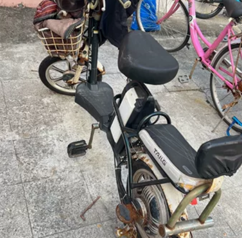台铃电动车，电池不耐用，一直闲置，闲置前电...