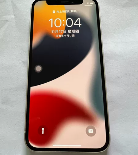 Apple/苹果 iPhone 12 Mi...