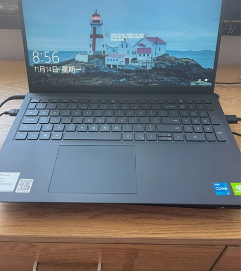 戴尔3150，11代i5，2G独显，8g内...