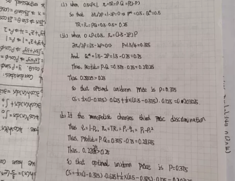 一对一留学生，学习 指导 考试，英文统计和...