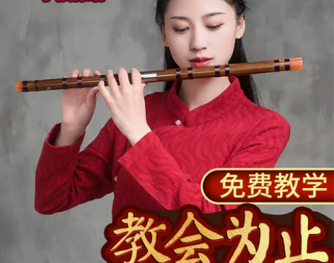 迪海 笛子乐器/初学成人学生笛/专业苦竹横...