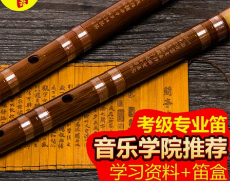 笛子初学成人零基础初学者精制专业儿童竹笛横...