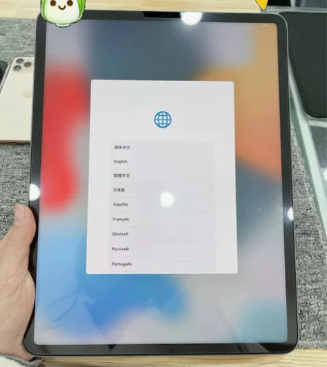 个人闲置95成色  平板ipad2021款...