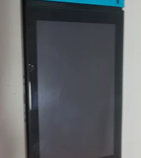 switch 日版普通版 标准版 单平板 ...