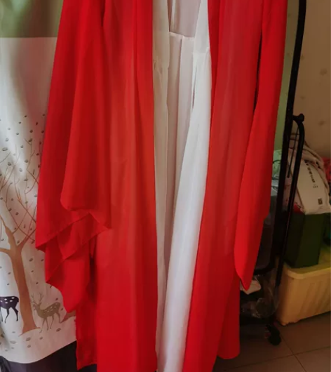 (可租或可换可出)红色汉服女夏季古装魏晋古...