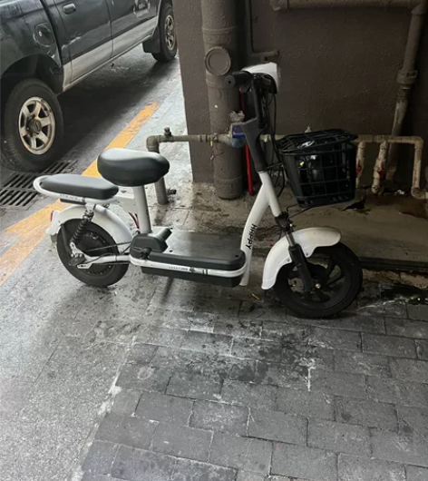 台铃48v国标电动车 本人80公斤续航10...