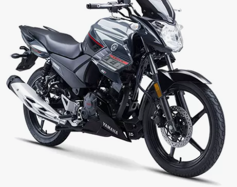 摩托车 飞鹰雅马哈飞致ys150街车国四J