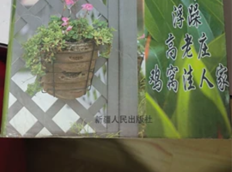贾平凹文集 新疆人民出版社 发行数量有限，...