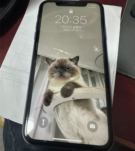 自用苹果11   全原装  无拆无修 换手...