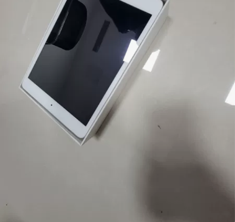 自用iPad mini 1，盒子尚在，充电...