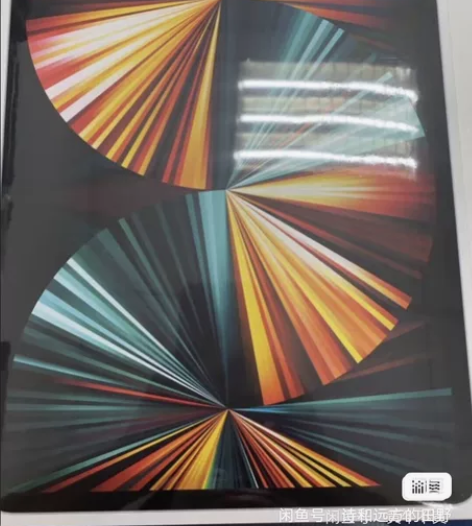 Apple/苹果 iPad Pro 12....