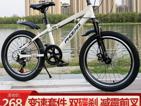 凤凰牌自行车儿童中大童男孩女孩6-8-10...