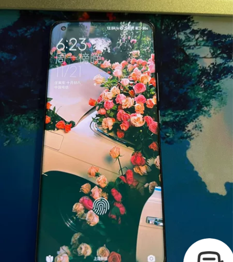 小米11ultra 12+256 成色自己...
