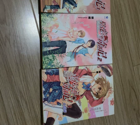 因搬家忍痛割爱,出售青春文学小说《壁花小姐...