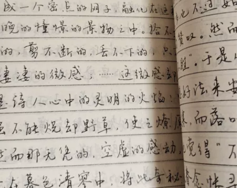 老字帖 钢笔字帖 主行副楷。里有不少行书散...