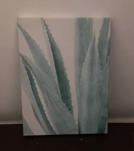 宜家芦荟无框画全新包邮 32x24厘米