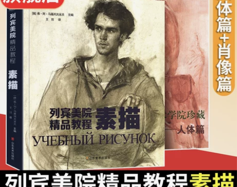 结构素描全3册387页 列宾美院精品教程素...