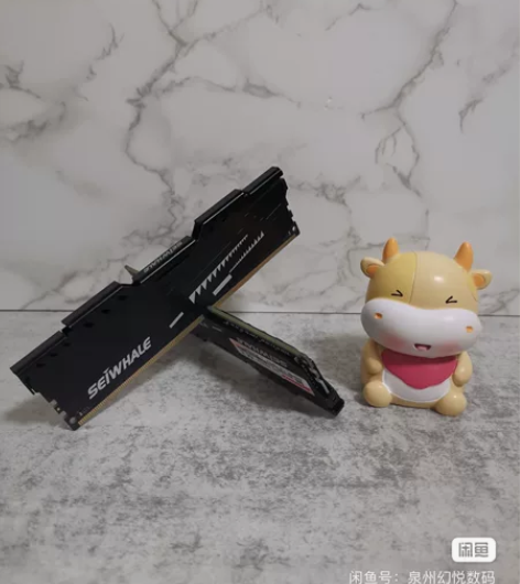 出枭鲸ddr4 2666 8g内存 条子成...
