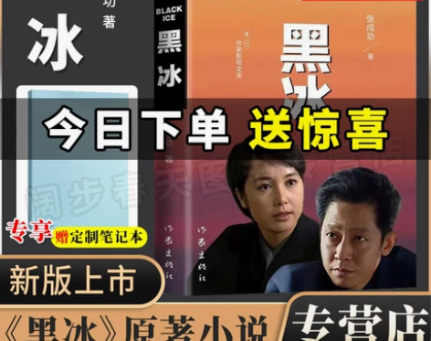 书籍小说 小说书籍认准正版黑冰 电视剧原版...