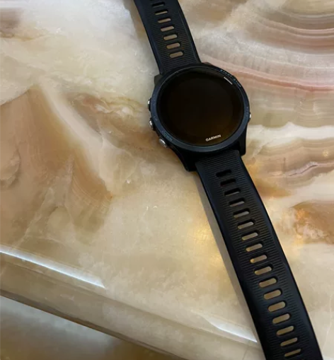 佳明（GARMIN）户外手表 Foreru...