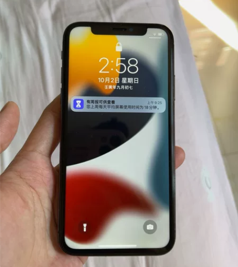 自用iPhone X 存储容量:256G ...