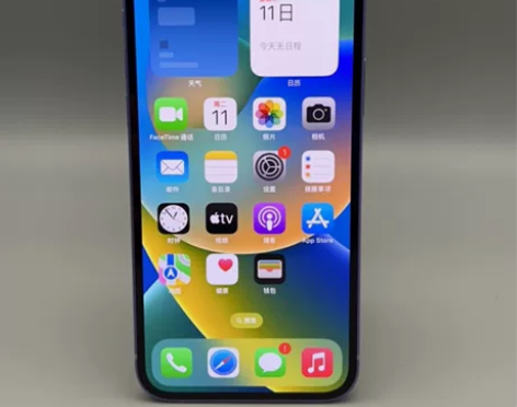 Apple/苹果 iPhone 12  二...