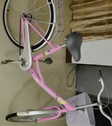 【价格可再议】女式飞鸽正品自行车 24 全...