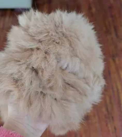 兔毛毛绒帽水貂绒帽子全新皮草帽 驼色全新雪...