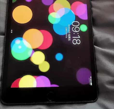 正品二手Apple/苹果 7.9英寸 iP...