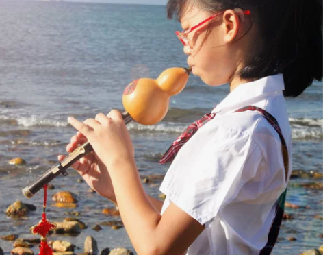 葫芦丝乐器初学者降B调C调天然紫竹自学专业...