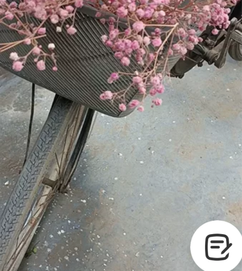 上海凤凰三厂出的二八大杠自行车，正常骑行，...