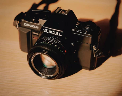 术直 | 专业级胶片单反国货经典凤凰海鸥旁...