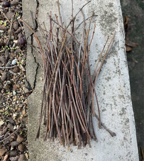 天然干树枝装饰道具 幼儿园DIY手工创意品...