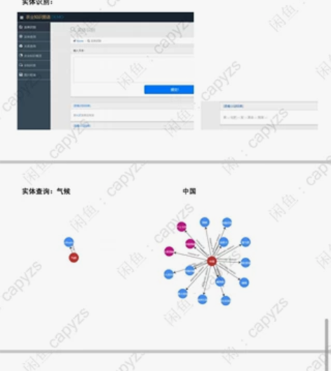 37页农业知识图谱搭建,代码不是我写的,在...