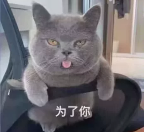 office系列都可以接 PPT,word...