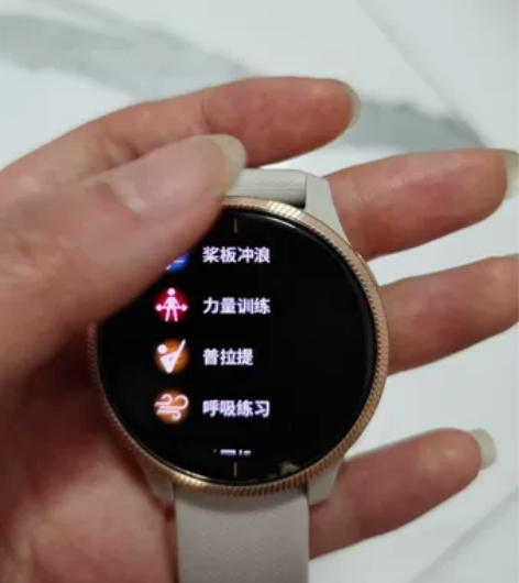 佳明（Garmin）运动手表venu，玫瑰...