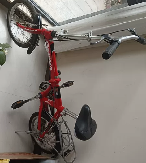 捷马折叠自行车，买了几年就孩子在小区里骑过...