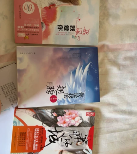 青春文学 三本甩了，有轻微使用过的痕迹。 ...