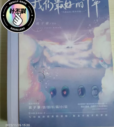 青春文学小说《我们最好的十年》 作者苑子豪...