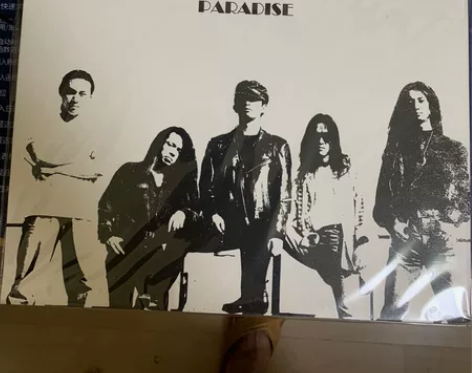 天堂乐队20周年精选LP，红色，黑色两套。...