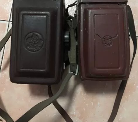 老相机海鸥已出，还剩牡丹一个，好不好使不知...