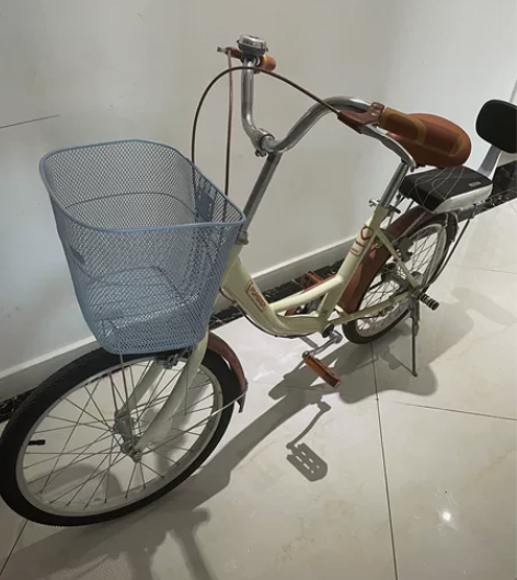 永久自行车20寸九九新 感兴趣的话点“我想...