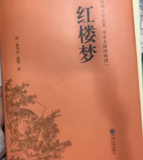 红楼梦?乡土中国，微瑕，30出包邮 还会送...